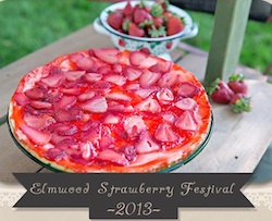 Elmwood Strawberry Festival IL 2013